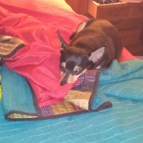 Meet your Posher, Gerri - Picture 1 of 1